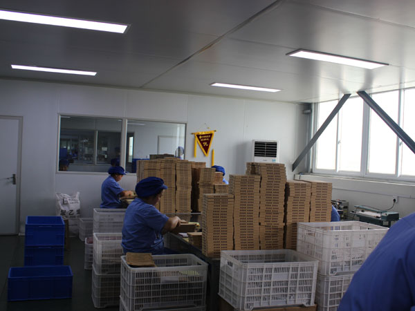 哪家膏藥oem貼牌加工廠的性價比高？